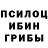 Псилоцибиновые грибы Cubensis raZ0r 1