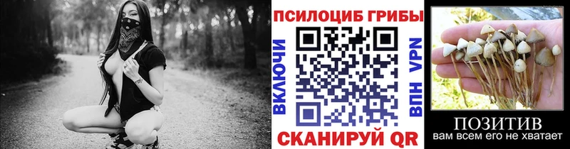 купить цена Дегтярск Галлюциногенные грибы мицелий